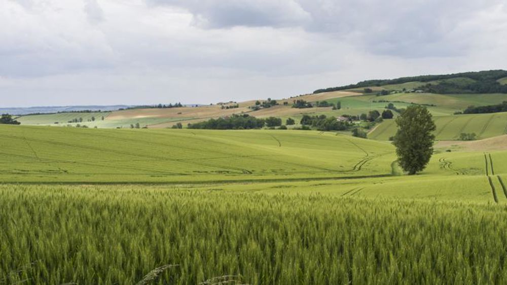 © Cédric Faimali/GFA